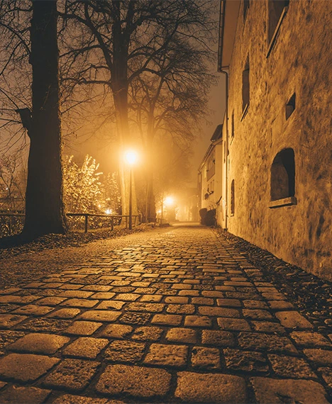 A dark cobblestone street with trees and an old building